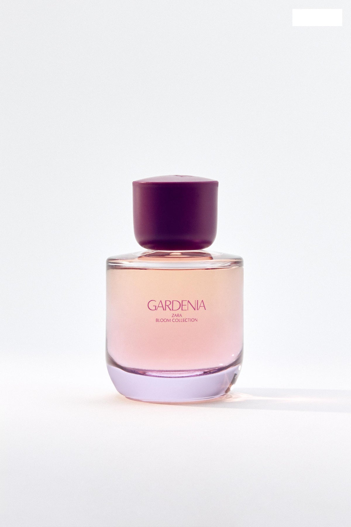 GARDENIA EDP 90 ML (3.04 FL. OZ)